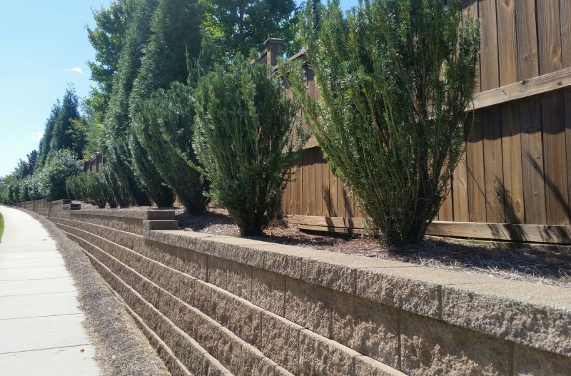 Landscape Wall Construction in Honolulu, HI