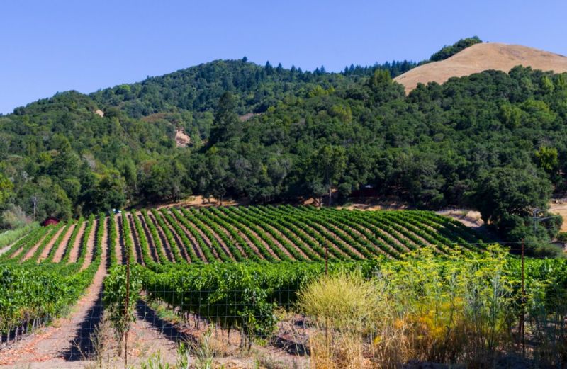 Local Retaining Wall Installation in Santa Rosa, CA
